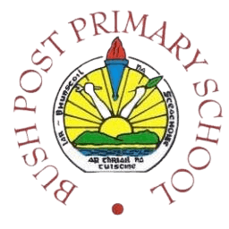 Bush Post Primary logo